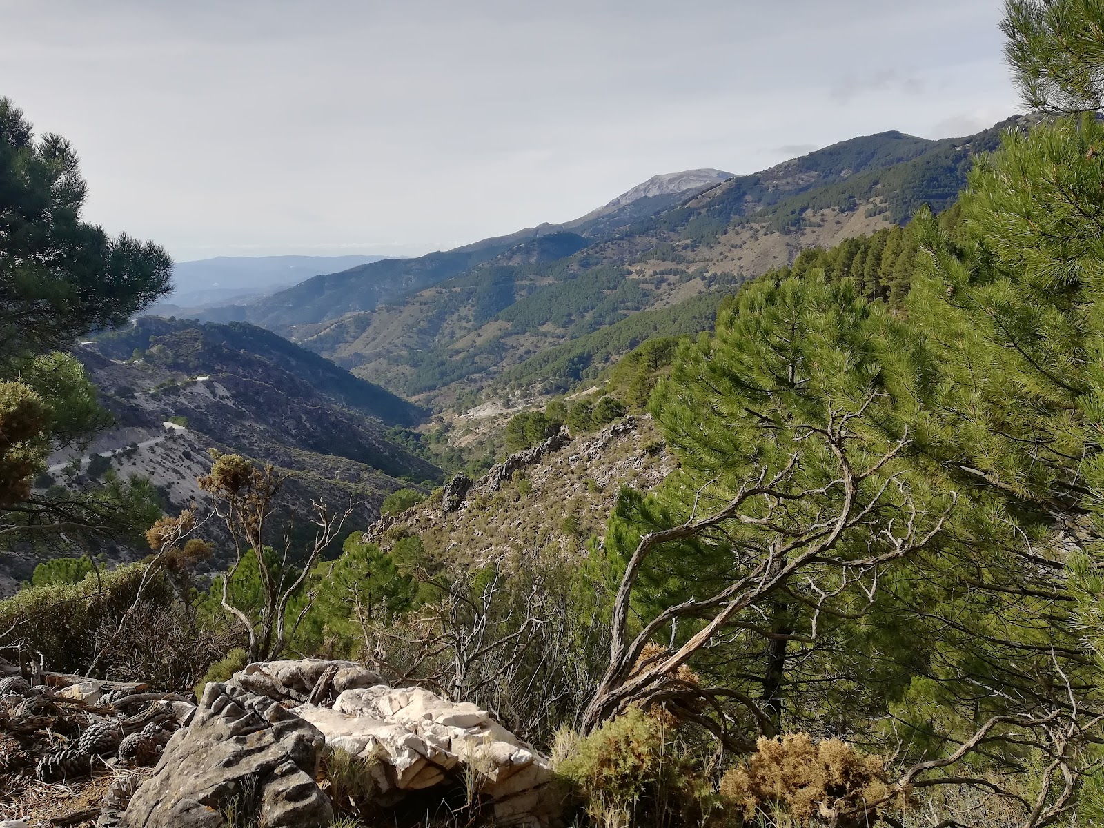 Puerto Blanquillo