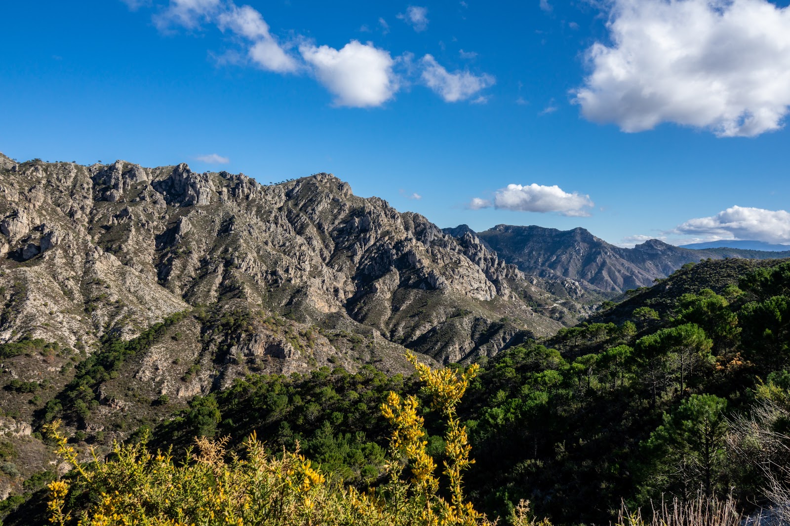 Parque Natural Sierra de Tejeda, Almijara y Alhama